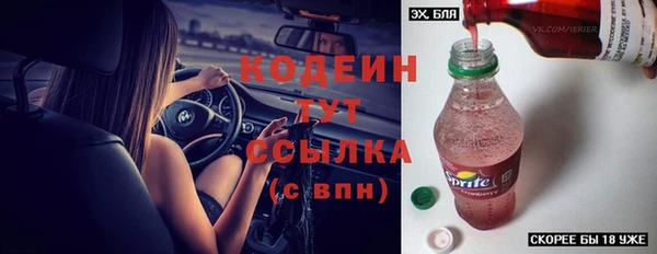 тгк Елизово