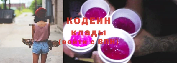 тгк Елизово