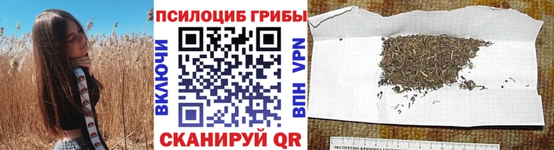 Галлюциногенные грибы Cubensis  сколько стоит  Зерноград 